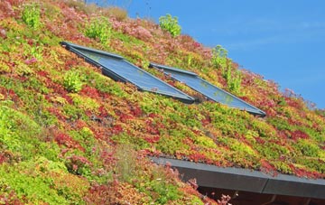Patient End living roof systems